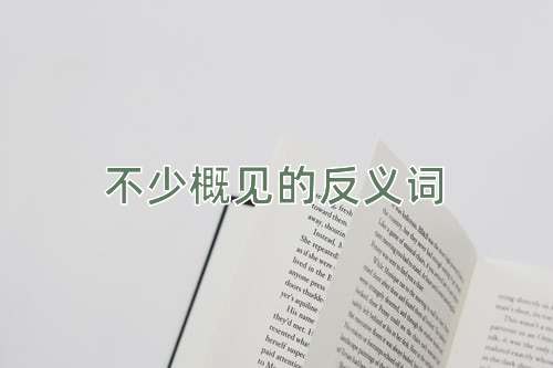 不少概见的反义词