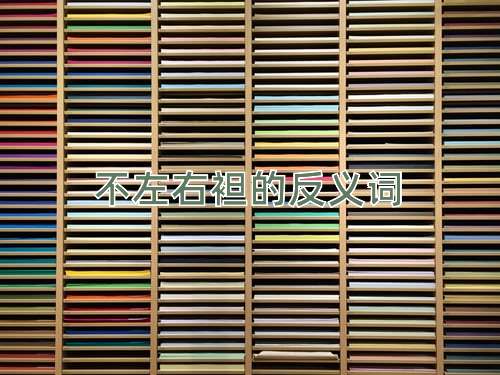 不左右袒的反义词