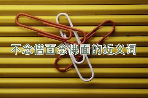 不念僧面念佛面的近义词