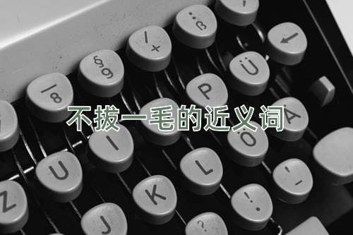不拔一毛的近义词