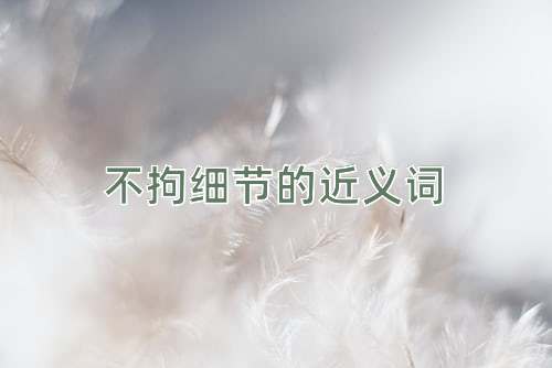 不拘细节的近义词