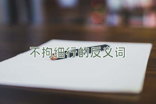 不拘细行的反义词