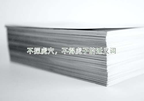 不探虎穴，不得虎子的近义词