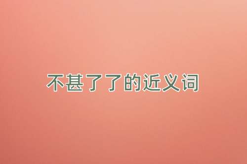 不甚了了的近义词