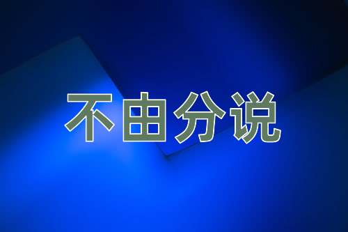成语不由分说