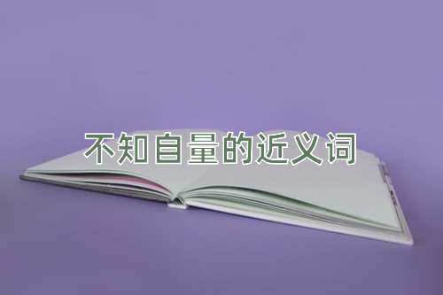 不知自量的近义词