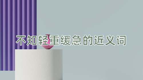不知轻重缓急的近义词