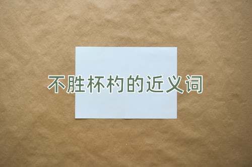 不胜杯杓的近义词