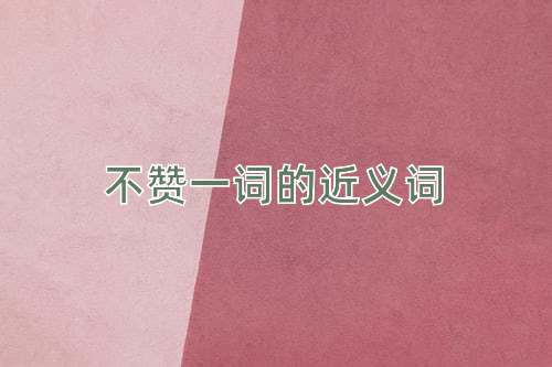 不赞一词的近义词