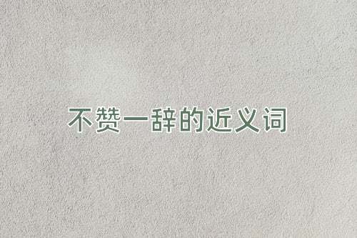 不赞一辞的近义词