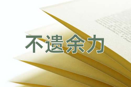 成语不遗余力