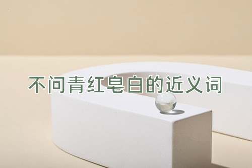 不问青红皂白的近义词