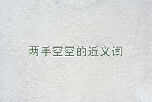 两手空空的近义词