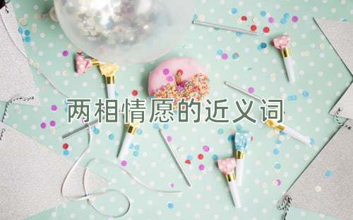 两相情愿的近义词