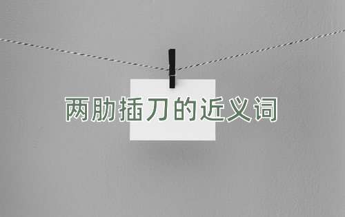 两肋插刀的近义词