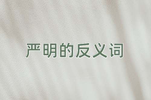 严明的反义词