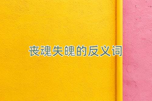 丧魂失魄的反义词