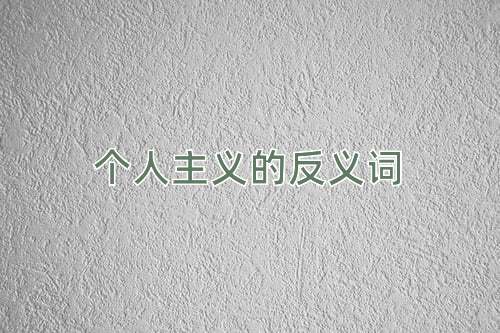 个人主义的反义词