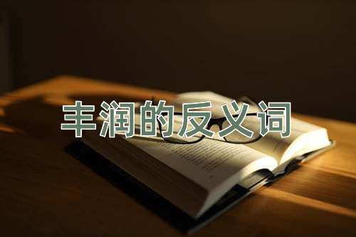 丰润的反义词