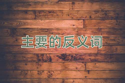 主要的反义词