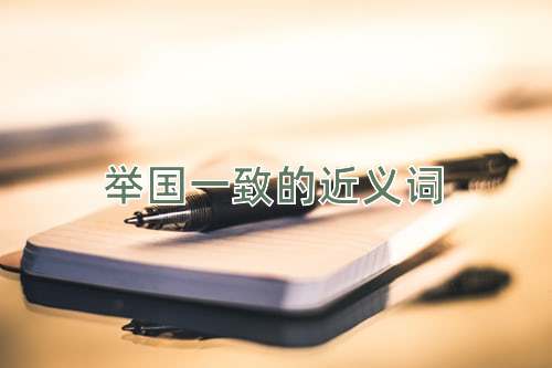 举国一致的近义词