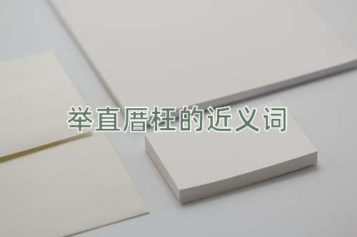 举直厝枉的近义词