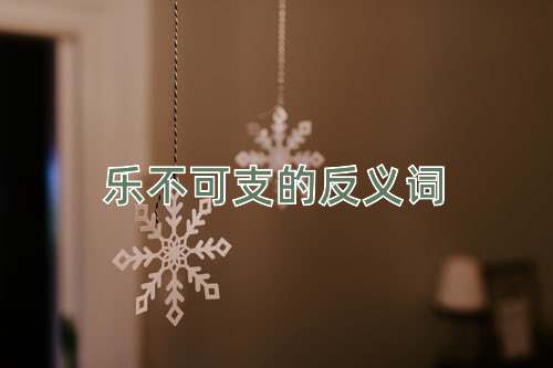 乐不可支的反义词