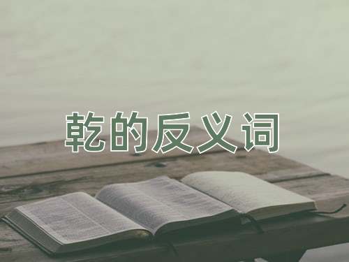 乾的反义词