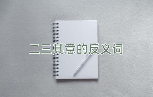 二三其意的反义词