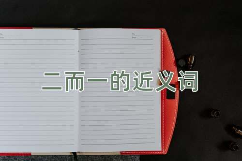 二而一的近义词