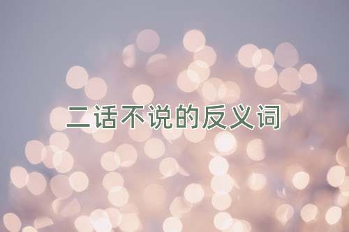 二话不说的反义词