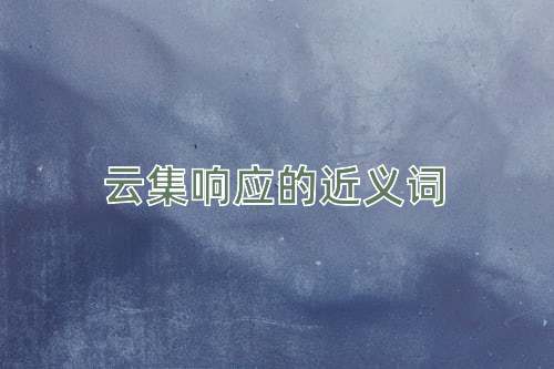 云集响应的近义词
