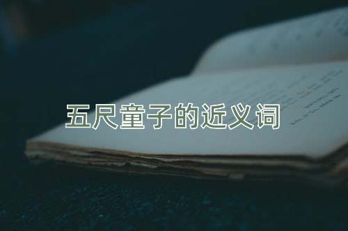 五尺童子的近义词
