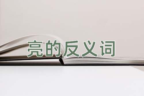 亮的反义词
