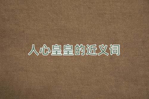 人心皇皇的近义词