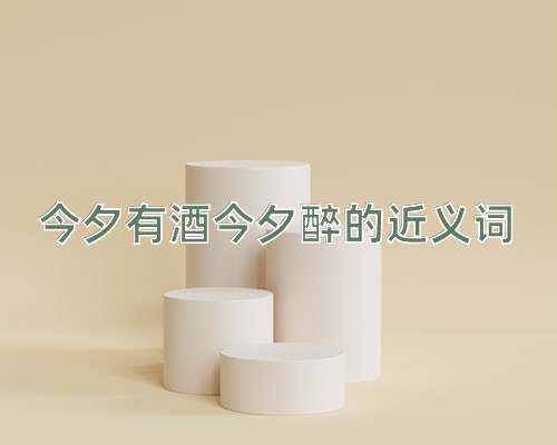 今夕有酒今夕醉的近义词