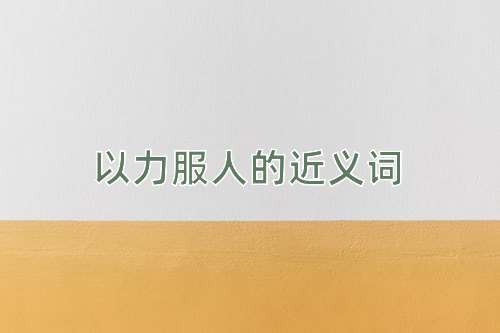 以力服人的近义词