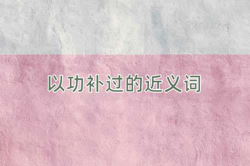 以功补过的近义词