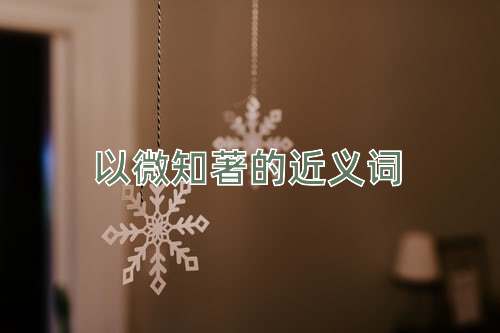 以微知著的近义词