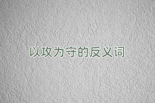 以攻为守的反义词