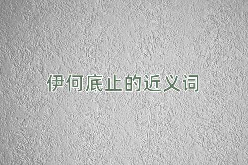 伊何底止的近义词