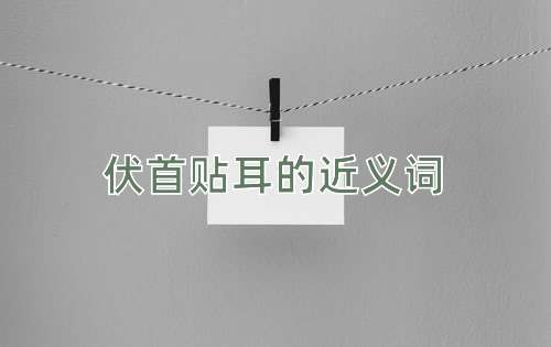 伏首贴耳的近义词