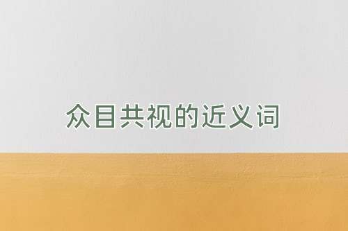 众目共视的近义词