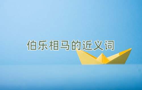 伯乐相马的近义词