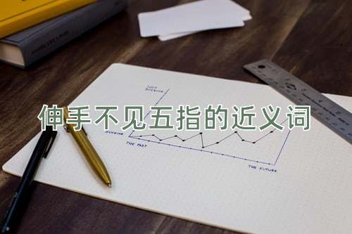 伸手不见五指的近义词