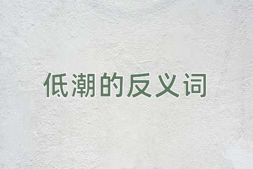 低潮的反义词