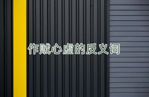 作贼心虚的反义词