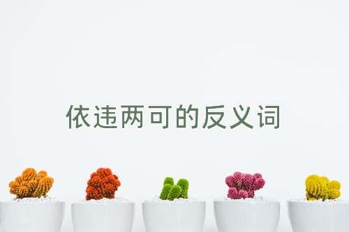 依违两可的反义词