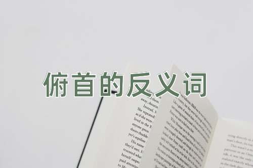 俯首的反义词