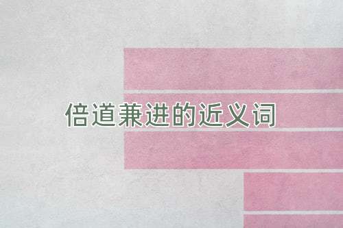 倍道兼进的近义词